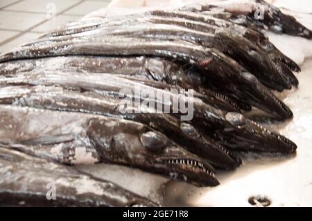 Schwarzer Scheidenfisch, Fischabteilung, Bauernmarkt (Mercado de Lavradrores), Funchal, Madeira, Portugal, Europa Stockfoto