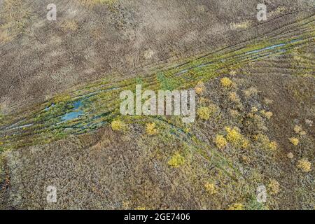 Landstraße zwischen sumpfigen Feldern. Feuchtgebiet Landschaft. Luftaufnahme von fliegender Drohne Stockfoto