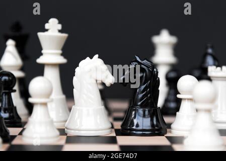 Knight chess face off - Weiße Schachfiguren auf schwarzem Hintergrund Stockfoto