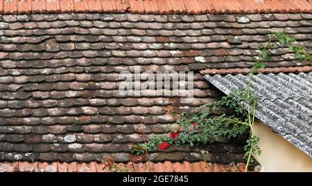 Alte rote Bullnose Dachziegelstruktur Stockfoto