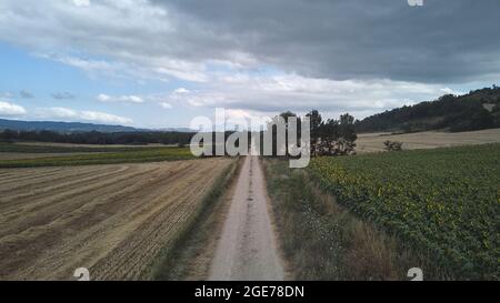 Landwirtschaftliche Betriebe von Weizen und Sonnenblumen in den merindades, Burgos, Spanien Stockfoto