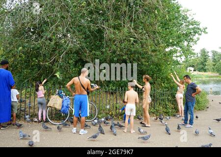 Vogelfreunde interagieren und füttern Vögel im Hype Park in London, England, Großbritannien Stockfoto