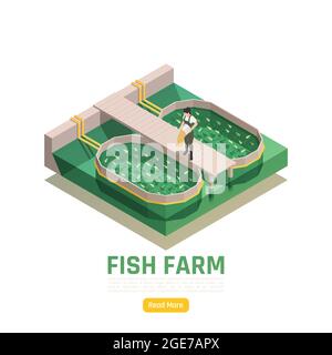 Natürliche Ressourcen Aquakultur isometrische Webseite Element mit Fischfarm Produktion Arbeiter Fütterung Fingerlinge Vektor-Illustration Stock Vektor