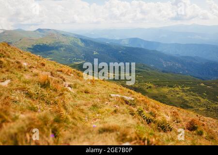 Blick auf die Sommer-Berglandschaft in den Karpaten von Hoverla. Naturfeld Wiese Hintergrund mit Seen Stockfoto