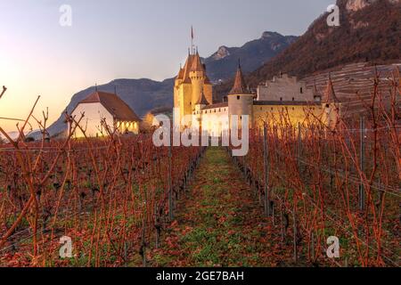 Das Chateau d'Aigle (Schloss Aigle) ist ein Juwel mittelalterlicher Architektur und liegt inmitten weltberühmter Weinberge, die den Eingang zum Rhonetal an der Grenze bewachen Stockfoto