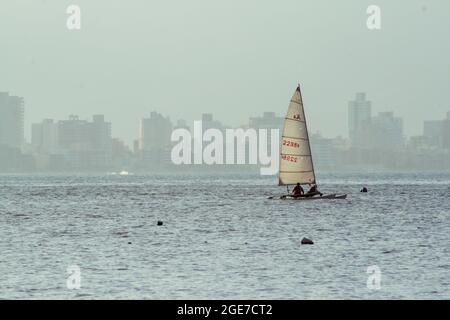 NEW YORK, USA - 13. Nov 2017: Eine Aufnahme der Menschen, die auf der Wasseroberfläche in der Nähe von New York, USA, Windsurfen. Stockfoto