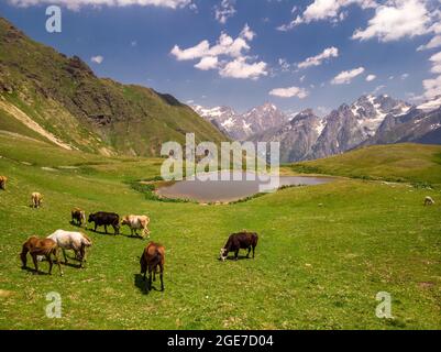 Georgia Drohnen Ansichten Stockfoto