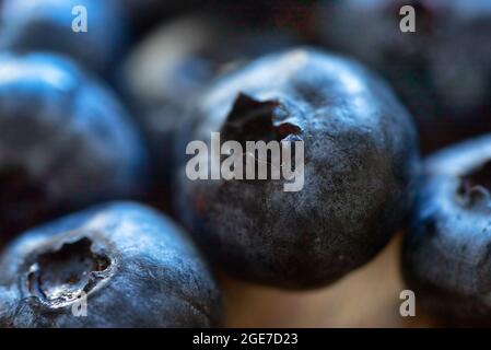 Nahaufnahme einer Gruppe frischer, reifer Heidelbeeren, die zum Essen bereit sind oder als Koch- und Backzutat, reich an Vitaminen c und Antioxidantien, verwendet werden Stockfoto