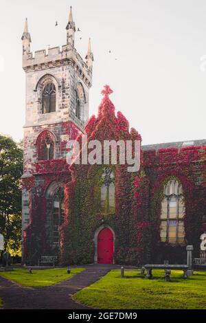 Die Liberton Kirk Kirche ist im Frühherbst in Edinburgh, Schottland, mit Efeu bedeckt, da die Blätter rot werden. Stockfoto