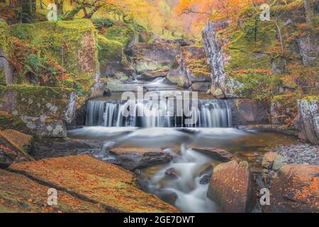 Ein wunderschöner, farbenfroher Herbstwaldwald mit Wasserfall und lebendigen Herbstfarben bei Bracklinn Falls in Callander, Schottland, in Loch Lomond und The Stockfoto