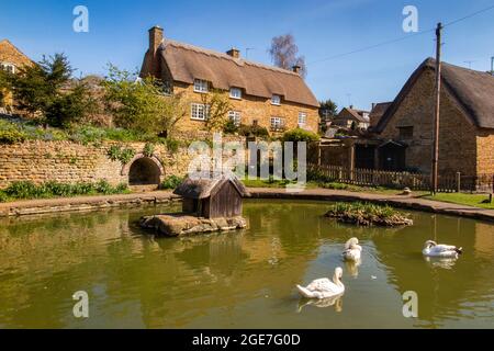 Großbritannien, England, Oxfordshire, Wroxton, Main Street, Hübsche historische Cotswold Steinhütten um den Dorf Ententeich Stockfoto