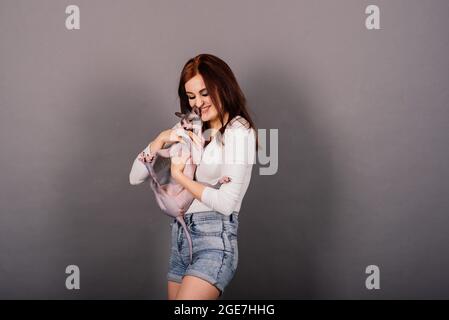 Wunderschöne Brünette Frau lächelt, hält Sphynx Kitten, posiert auf grau und gelb Studio Hintergrund Stockfoto