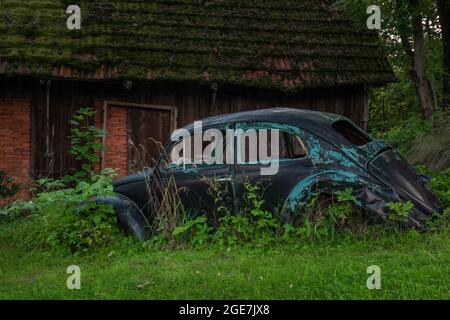 Altes blaues Auto in grünem langem Gras in der Nähe von altem braunem Holzscheune Stockfoto