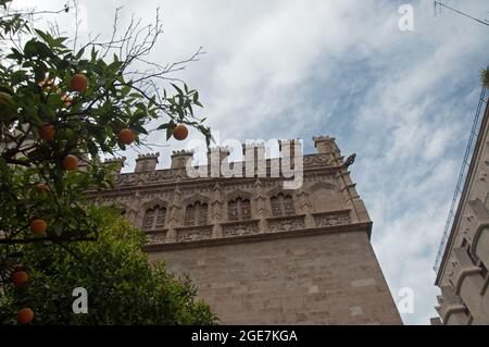 Türmchen, Seidenbörse (Llotja de la Seda) Valencia, Spanien, Europa Stockfoto