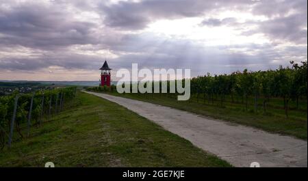 Sonnenstrahlen, die durch die Wolken über dem Burgunder Aussichtsturm in der Weinbauregion Rheinland-Pfalz leuchten. Stockfoto