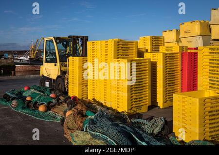 Stapel leuchtend gelber Fischkisten und Netze aus Kunststoff am Hafen von Newlyn, Cornwall, England. Stockfoto