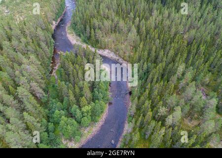 Flussbiegung, die durch dichten Kiefernwald im nördlichen Teil Schwedens verläuft. Luftaufnahme. Stockfoto