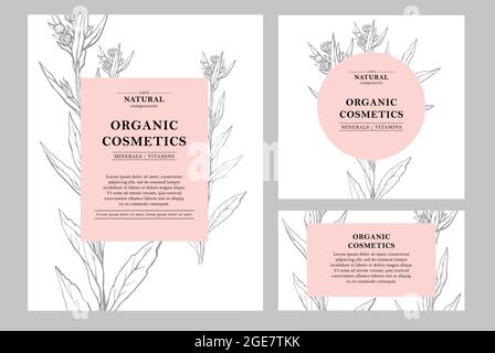 Vektor handgezeichnete Blumenkarten und Banner. Botanische handgezeichnete Illustration. Vorlagen für Vintage-Hipster-Kräuter. Natürliche Bio-Kosmetik Verpackung Stock Vektor