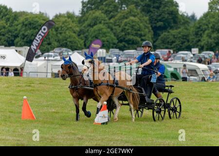 Pony Scurgy Fahrzeit-Test auf der Wiltshire Game & Country Fair Stockfoto