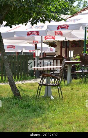 Zywiec. Bänke zwischen Bäumen und Gräsern mit dem Żywiec-Schild. Sommer. Stockfoto