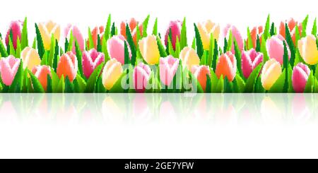 Set von nahtlosen Rändern mit frischem, grünem Gras und Blumen Stock Vektor