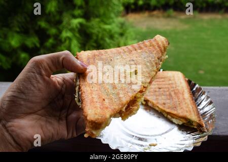 Weiblich Holding Essen Tee Zeit Snack Artikel Käse Gemüse gegrilltes Sandwich getoasteten Grill Frühstück Artikel Draufsicht in Teller weiß Hintergrund. Leckere vegetarische Speisen Stockfoto