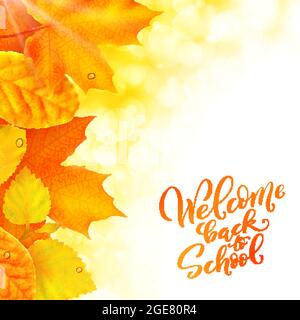 Willkommen zurück in der Schule handgezeichnete Schriftzüge Hintergrund mit realistischen Herbstblättern verziert. Vektorgrafik Stock Vektor