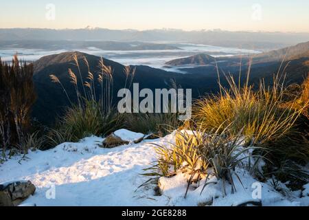 Blick über das Gray River Valley von der CES Clark Hut, dem Paparoa Track (einer der tollen Wanderungen Neuseelands), der Westküste, Südinsel, Neuseeland Stockfoto