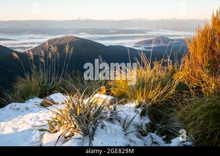 Blick über das Gray River Valley von der CES Clark Hut, dem Paparoa Track (einer der tollen Wanderungen Neuseelands), der Westküste, Südinsel, Neuseeland Stockfoto