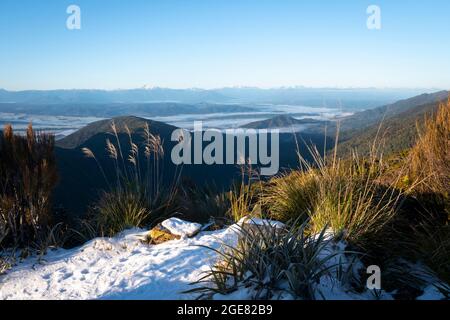 Blick über das Gray River Valley von der CES Clark Hut, dem Paparoa Track (einer der tollen Wanderungen Neuseelands), der Westküste, Südinsel, Neuseeland Stockfoto