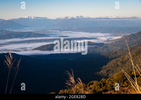 Blick über das Gray River Valley von der CES Clark Hut, dem Paparoa Track (einer der tollen Wanderungen Neuseelands), der Westküste, Südinsel, Neuseeland Stockfoto