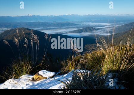 Blick über das Gray River Valley von der CES Clark Hut, dem Paparoa Track (einer der tollen Wanderungen Neuseelands), der Westküste, Südinsel, Neuseeland Stockfoto