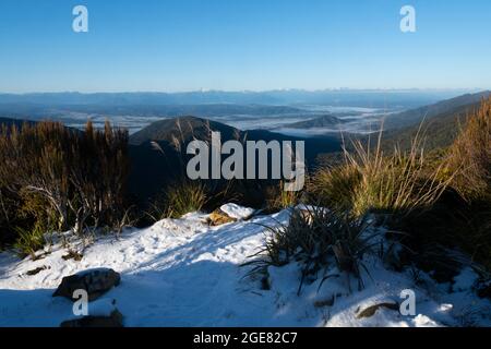 Blick über das Gray River Valley von der CES Clark Hut, dem Paparoa Track (einer der tollen Wanderungen Neuseelands), der Westküste, Südinsel, Neuseeland Stockfoto