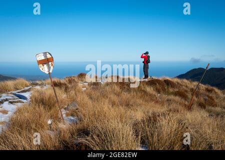 Wanderer, der die Aussicht auf Croesus Knob, Paparoa Track, (einer der tollen Wanderungen Neuseelands), Westküste, Südinsel, Neuseeland, anschaut Stockfoto