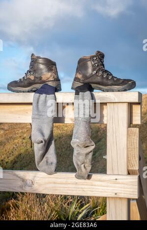 Wanderschuhe und Socken, die am Zaun trocknen, Paparoa Track, (einer der tollen Wanderungen Neuseelands) Paparoa National Park, Westküste, Südinsel, Neuseeland Stockfoto