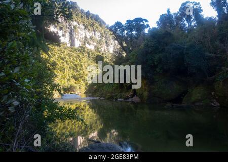 Kalksteinfelsen am Pororari River auf dem Paparoa Track (einer der Great Walks in Neuseeland), Paparoa National Park, Westküste, Südinsel, Neuseeland Stockfoto