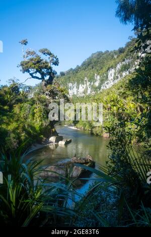 Kalksteinfelsen am Pororari River auf dem Paparoa Track (einer der Great Walks in Neuseeland), Paparoa National Park, Westküste, Südinsel, Neuseeland Stockfoto