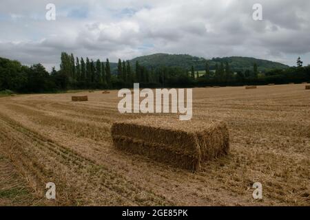 Merbach Hill, Herefordshire, Großbritannien Stockfoto