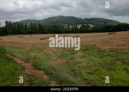 Merbach Hill, Herefordshire, Großbritannien Stockfoto