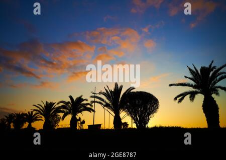 Abenduntergang am Ufer der Resortstadt. Eine Reihe von Silhouetten von Palmen vor dem Hintergrund des brennenden Himmels. Stockfoto