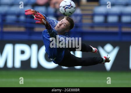 SHEFFIELD, GROSSBRITANNIEN. 17. AUGUST Bailey Peackock-Farrell von Sheffield Mittwoch in Aktion während des Sky Bet League 1 Spiels zwischen Sheffield Wednesday und Fleetwood Town in Hillsborough, Sheffield am Dienstag, 17. August 2021. (Kredit: Will Matthews | MI News) Kredit: MI News & Sport /Alamy Live News Stockfoto