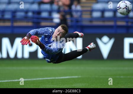 SHEFFIELD, GROSSBRITANNIEN. 17. AUGUST Bailey Peackock-Farrell von Sheffield Mittwoch in Aktion während des Sky Bet League 1 Spiels zwischen Sheffield Wednesday und Fleetwood Town in Hillsborough, Sheffield am Dienstag, 17. August 2021. (Kredit: Will Matthews | MI News) Kredit: MI News & Sport /Alamy Live News Stockfoto