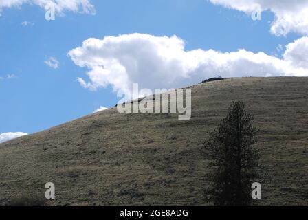 Landschaftlich Schöner Yakima Canyon, Washington Stockfoto