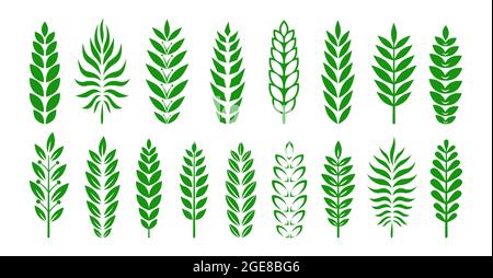 Set mit Zweiggrafiken oder heraldry Green. Olivenzweige, Lorbeer Blatt Auszeichnung, Leistung. Dekorative Vintage-Elemente für Design. Verschiedene heraldry Emblem, Logo Adel Emblem Vektor Stock Vektor