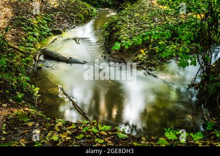 Langzeitaufnahme eines kleinen Flusses im grünen Sommerwald. Lange Belichtung. Stockfoto