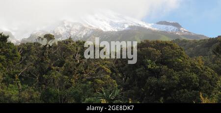 Im Winter überqueren Regenwolken die Ostseite des Mt Taranaki von den Dawson Falls aus. Egmont National Park, NZ. Stockfoto