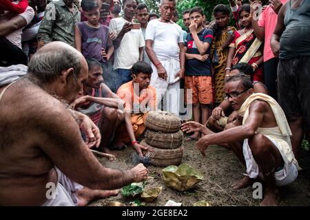 Die Dorfbewohner feierten die Göttin Manasa (die Hindu-Serpentine-Göttin) Puja. Als Teil des Rituals fangen Anhänger vor dem Gottesdienst giftige Schlangen (meist Kobra) von Reisfeldern, Schlangenzähne werden von Schlangenbeschwörern entfernt und bei ihren Hütten behalten und später als Teil traditioneller Rituale verehrt. Dieses Festival ist bekannt als 'Jhapan'. Das Jhapan-Fest wird jedes Jahr am 17. August anlässlich der Göttin Manasa Puja gefeiert. Das Jhapan Festival ist das größte Schlangenfestival von Jharkhand und Bengalen. Während der Manasa Puja-Feier können Schlangenbeschwörer mit der giftigen Schlange mithalten Stockfoto