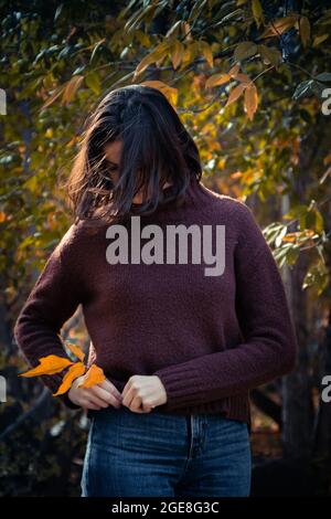 Brunette Mädchen in einem braunen Pullover setzt gelbe Blätter in einer Jeans-Tasche, vertikalen Rahmen. Gelbe Blätter und Pullover Symbol des Herbstes. Stockfoto