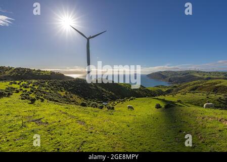 Windpark West in Welling Stockfoto