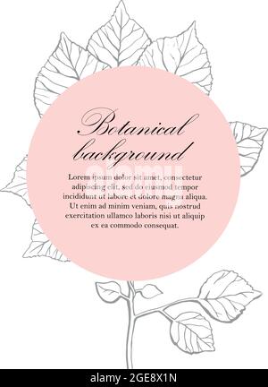 Natürlicher Hintergrund. Organische botanische Designvorlage. Handgezeichnete Vektordarstellung eines Zweiges mit Blättern Stock Vektor